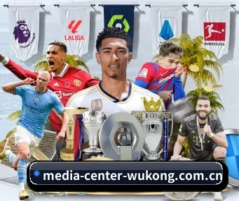 国际化进程（wukongsports）